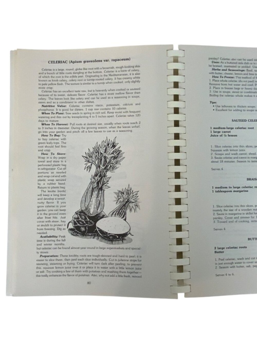 Fresh Ideas For Vegetable Cooking By Georgia Massie Signed Spiral-Bound 1985 - Picture 7 of 14